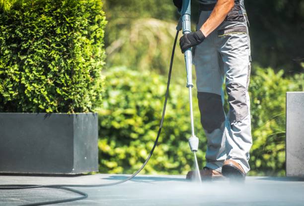 Best Solar Panel Cleaning  in Columbus, WI
